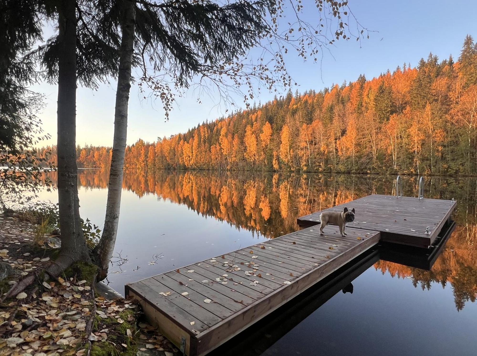 Iken Mökit Heinola Dış mekan fotoğraf